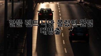 🚗 알뜰 렌트! 나만 몰랐던 꿀팁 대방출 🍯
