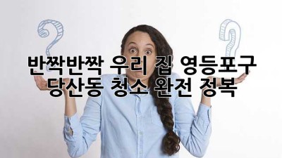 ✨ 반짝반짝 우리 집! 영등포구 당산동 청소 완전 정복 ✨